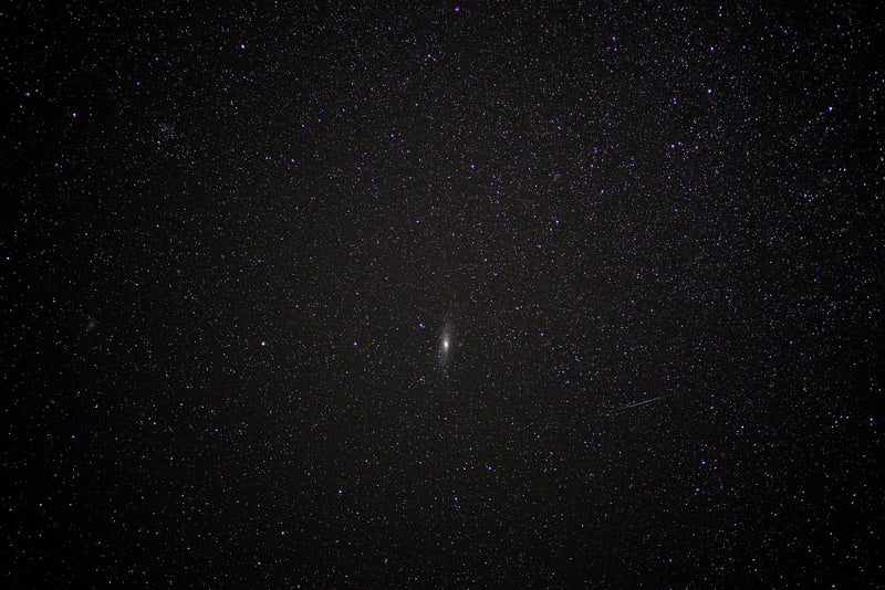 Constellation Cookies